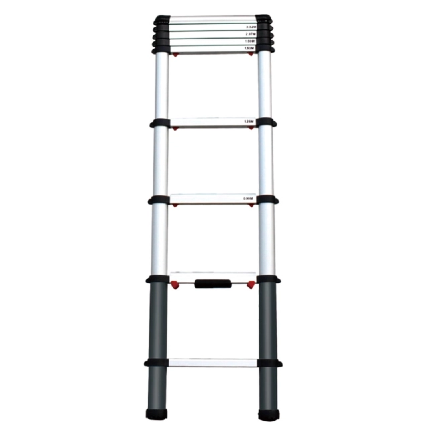 1599-3Telescopic Ladder.png